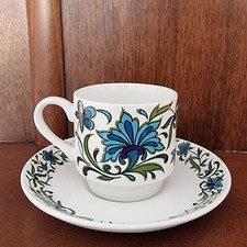 Midwinter Spanish Garden