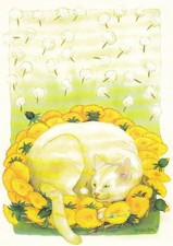 Postkarte: Löök - Katze und