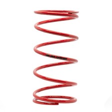 Red Contrast Spring Malossi