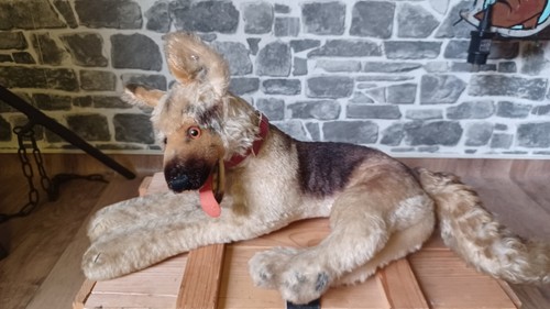 Schäferhund von der firma - schäferhund,