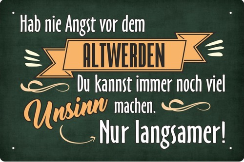 Blechschild 20x30cm nie - , angst