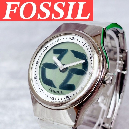 Seltene fossil 7843 - fossil, big