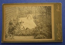 Antique Jack Russell Terrier