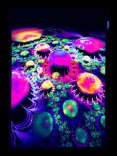 PSYWORK Schwarzlicht