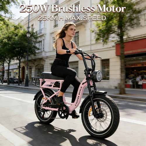 Avdl e fatbike 250w - "avdl, e-fatbike