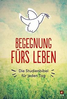 Begegnung fürs leben - begegnung,