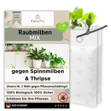 Raubmilben Mix gegen Thripse & Spinnmilben 4 - 50 Tüten  - Pflanzenschädlinge