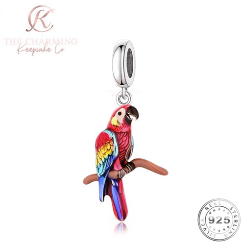 Ara papagei vogel charm echt - ara,