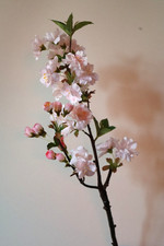 Kirschblüten-Zweig rosa 48 cm