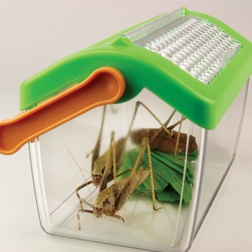 Insektenhaus insektenbox mit - insektenbox,