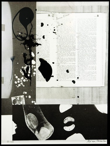 Fluxus multiple bruna - fluxus-multiple., "bruna