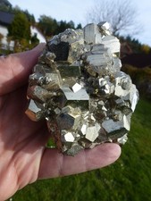 Pyrit Kubooktaeder, Huanzala Mine Ancash Peru # 10