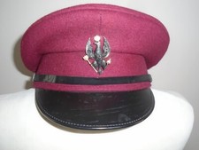 KINGS ROYAL HUSSARS HERREN SPITZENKAPPE MIT ABZEICHEN CA. 53 CM BRITISCHE ARMEE