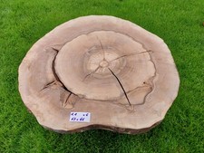 Sehr schöne trockene Walnuss Baumscheibe groß XXL, geschliffen