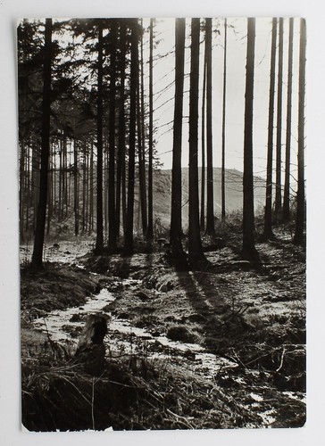 Echtfoto postkarte ein - postkarte, ak