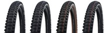 Schwalbe Big Betty HS608