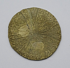 Mineralien: Pyrit - Scheibe