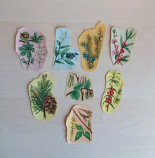 DDR Alte Poesiealbum Bilder