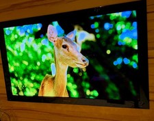 Pioneer kuro plasma - plasma, 60"
