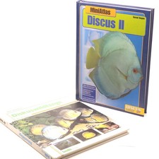 Berd degen discus neuwertig - degen,
