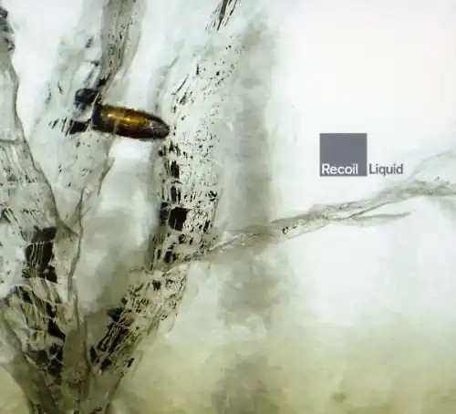 Recoil liquid - recoil,