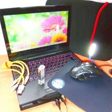 Alienware m11x zoll - r2,