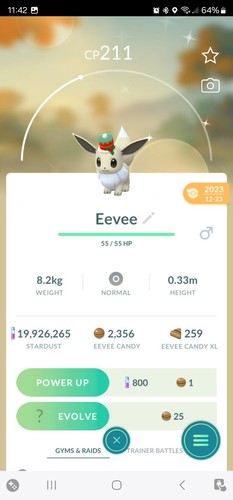Shiny eevee with - eevee,