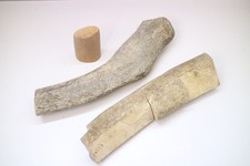 Geweih Horn Hirsch – 2 Stück Naturmaterial ca. 37–40 cm – Basteln, Schnitzen, Gr