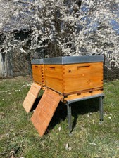 Beutenbock (Doppelbeutenbock) - Bienenbeute, Beuten, Imker, Dadant, DNM, Zander