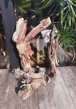 3 XL Treibholz Schwemmholz