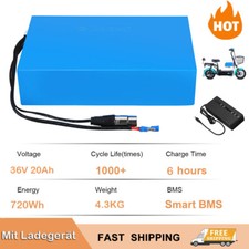 E Bike Akku 36V 20Ah Li-Ion