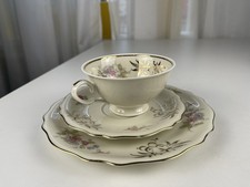 Porzellan Sammler Geschirr /