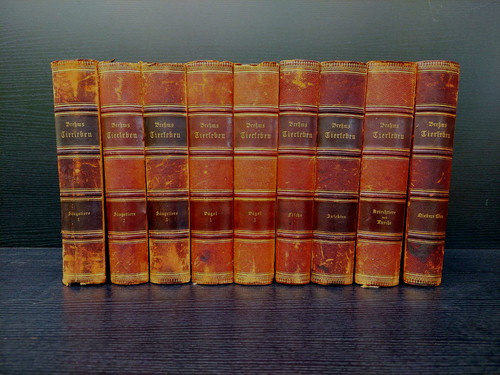 Brehms tierleben in 9 - e.,