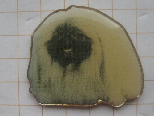 RASSEHUND