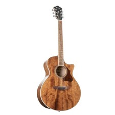 Ibanez AE Series AE245-NT
