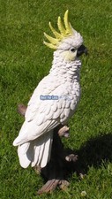 Kakadus papagei kakad figur - papagei,