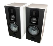 SWANS RM 600R Weiss Pianolack