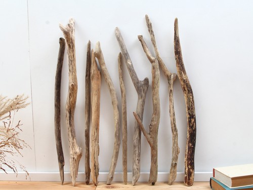 55cm treibholz äste - treibholz, Äste,