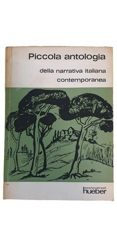 Hueber italienisch taschenbuch - hueber,