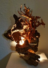 Wurzelskulptur/Tischlampe aus