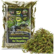 Reptilien Moos, Terrarium