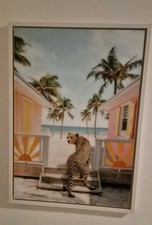Lumas bild paul fuentes sunny - paul,