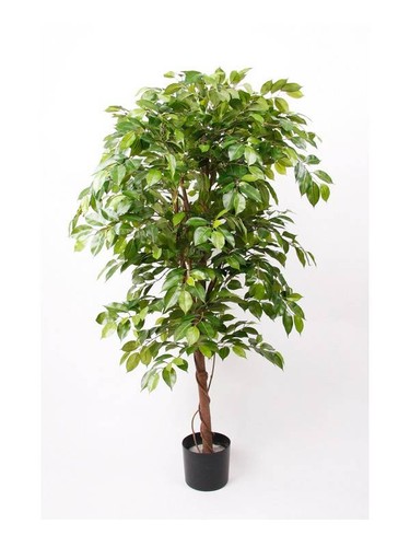 Artplants kunstbaum ficus - artplants,