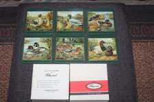 Pimpernel 6 Untersetzer