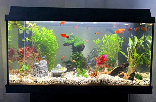 Juwel aquarium 112l - juwel,