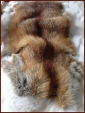 Rotfuchsfell Rotfuchspelz Fell
