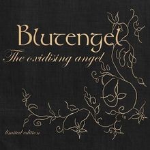 The oxidising angel - the, angel/ltd.