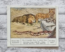 Tiger Riesenschlange Löwe teuersten Tiere Zoo Palmin Sammelbild 86 Werbung alt