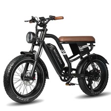Vankel 20 Zoll Elektrofahrrad