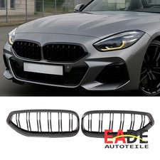 KÜHLERGRILL NIEREN GRILL